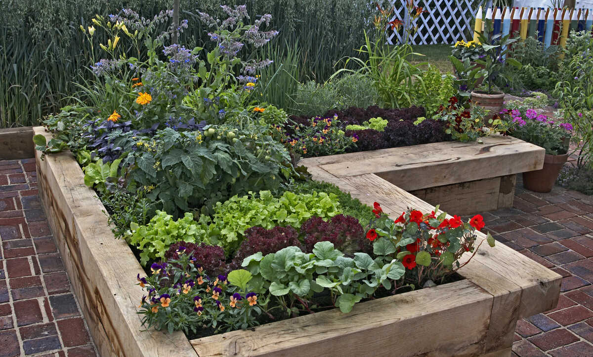 10-Conseils-pour-l'utilisation-d'un-jardin-surélevé