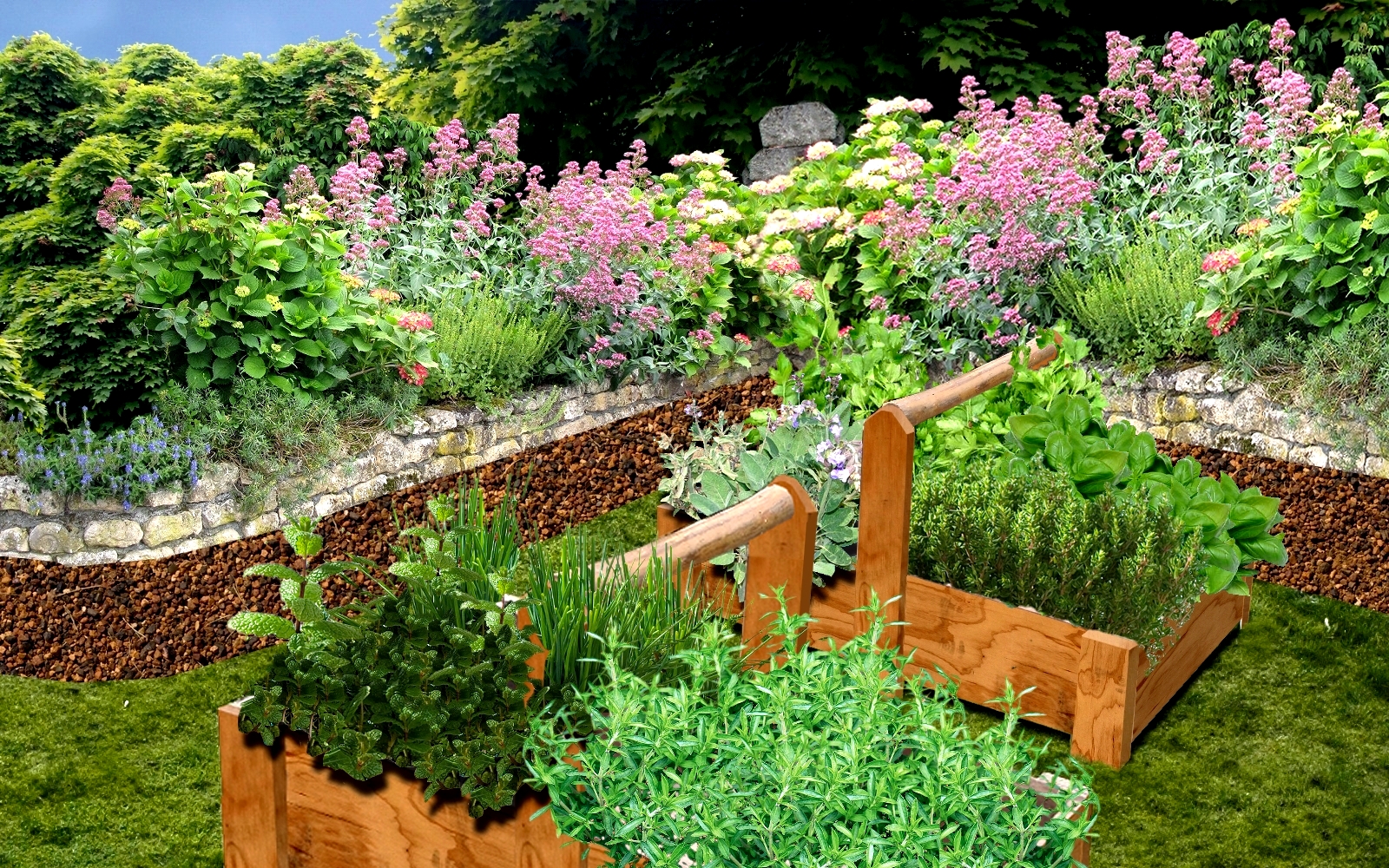 Comment-Cultiver-des-Plantes-Aromatiques-dans-votre-Jardin