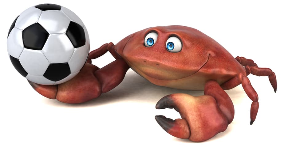 Crab-soccer