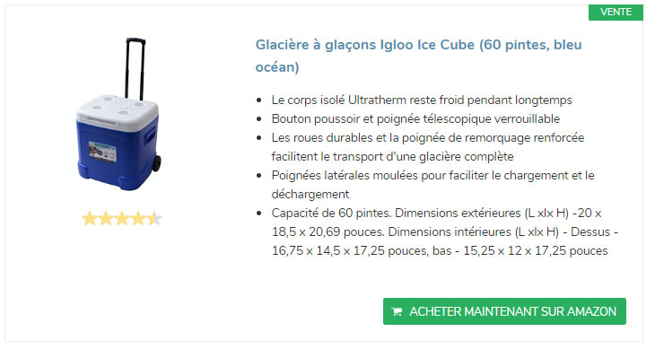 Igloo-glaciere-portable