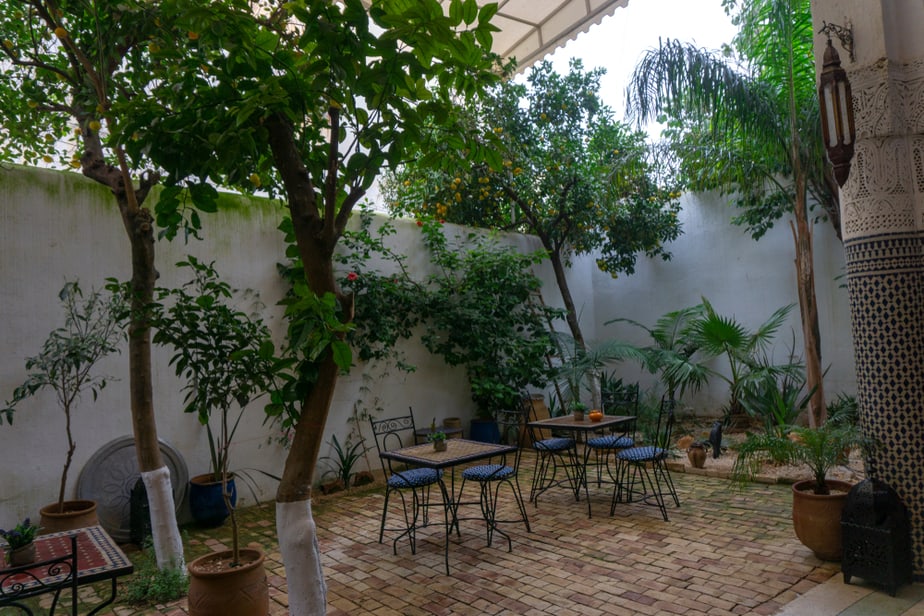 Jardin-dans-patio