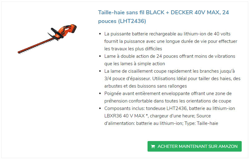 Taille-Haie-Sans-Fil-Black&Decker