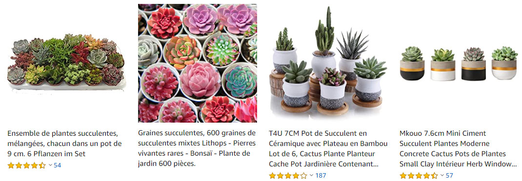 achat-plantes-succulentes