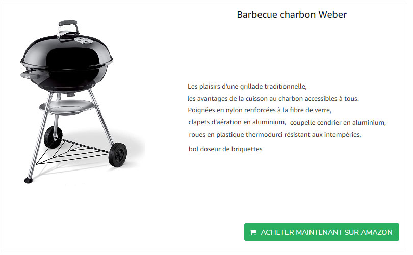 barbecue-charbon-weber
