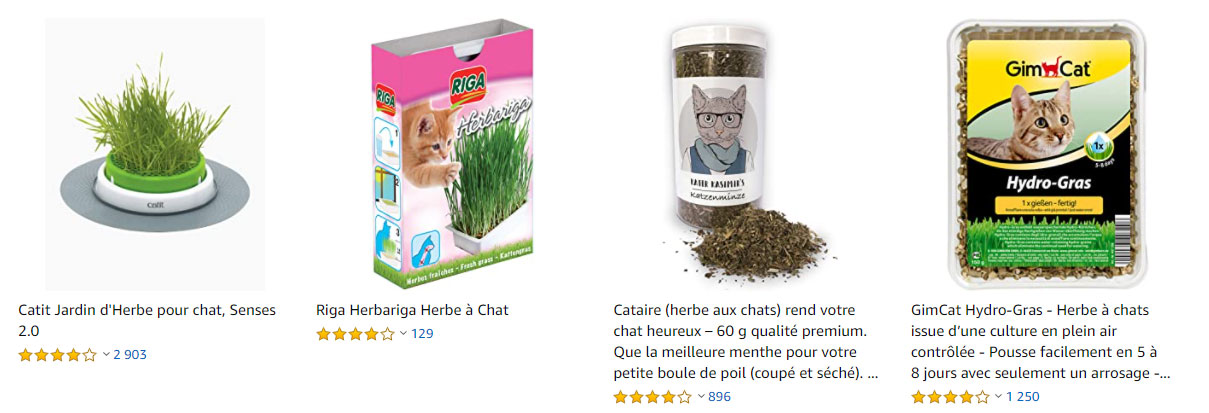 herbe-a-chat