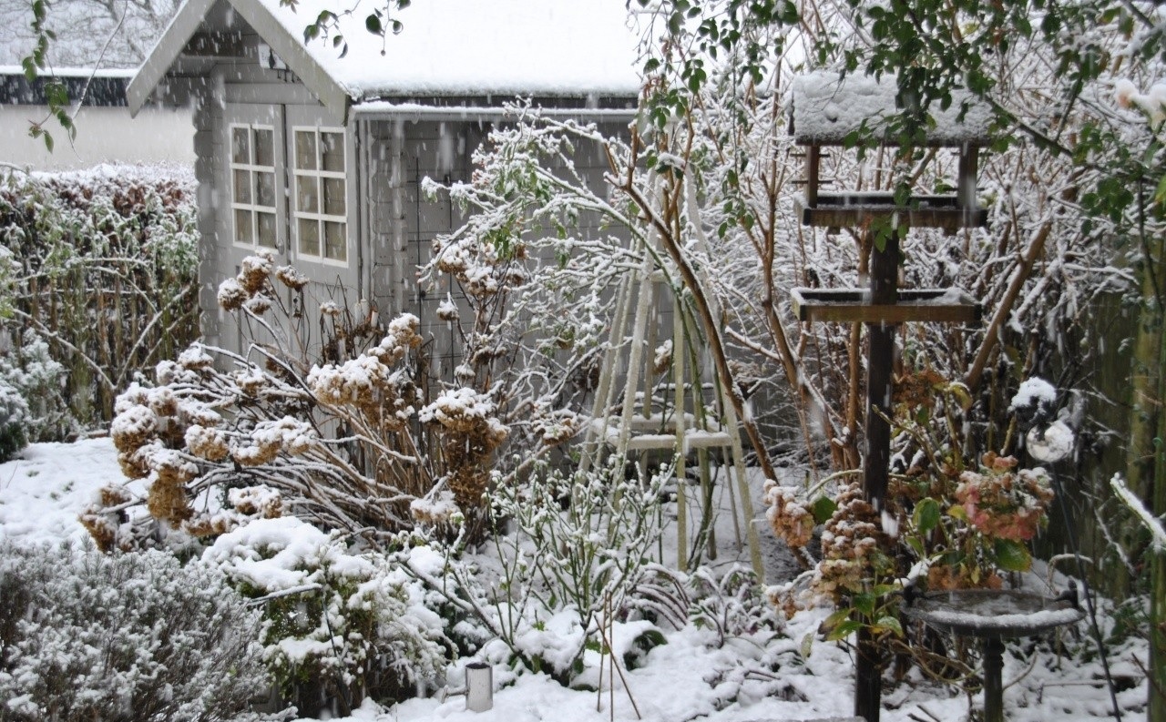 préparer-votre-jardin-pour-l'hiver