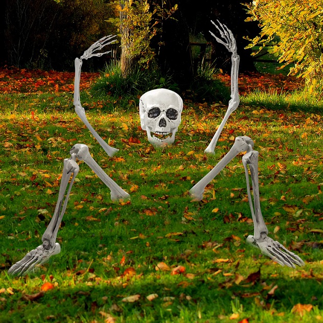squelette-halloween