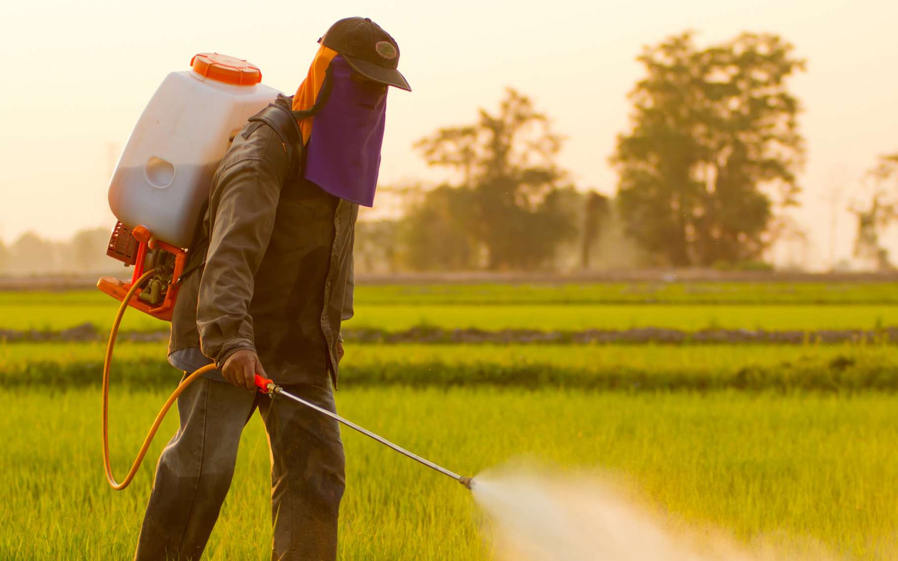 utilisation-pesticide